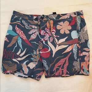Roark Blue and Red Patterned Men's Hybrid Shorts